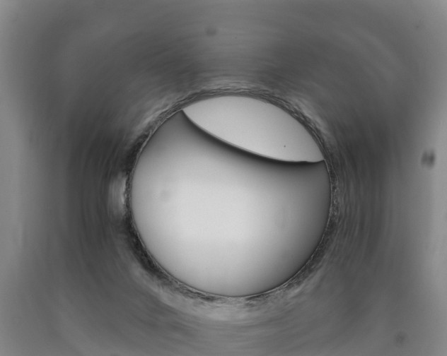X0000090920024200707301103