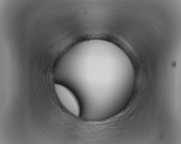 X0000090920025200707301103