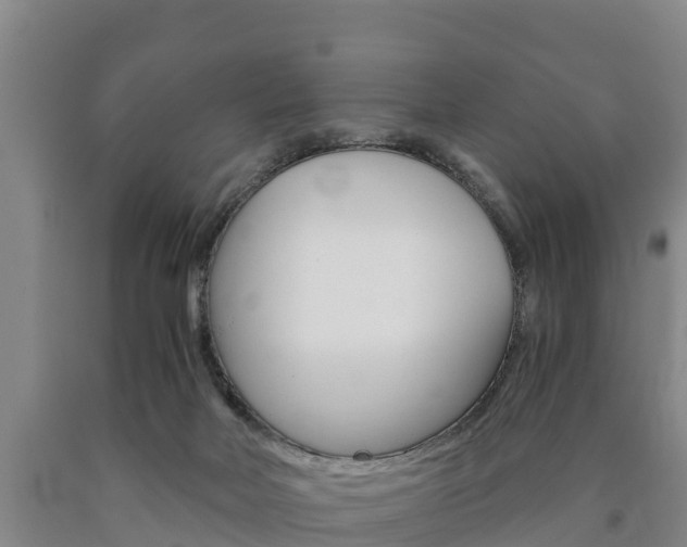 X0000090920026200707301103
