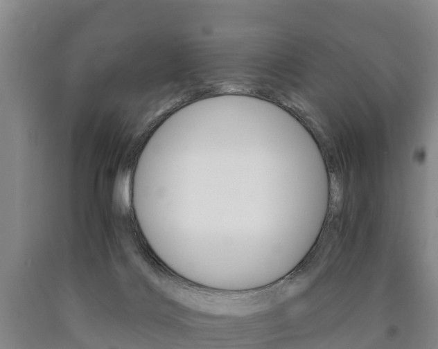 X0000090920028200707301103