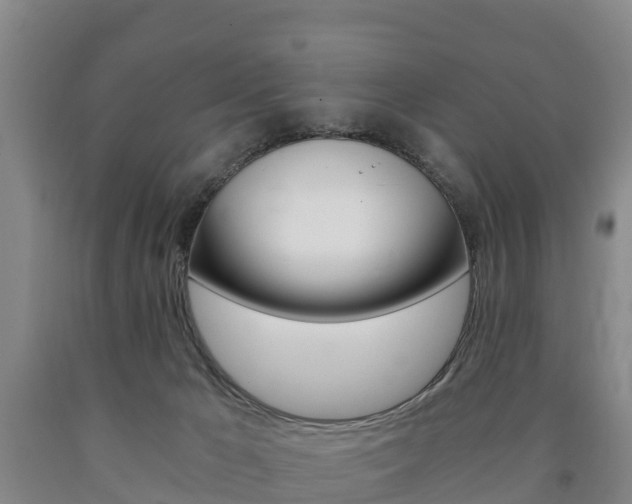 X0000090920029200707301103