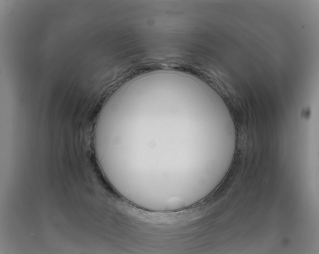 X0000090920030200707301103