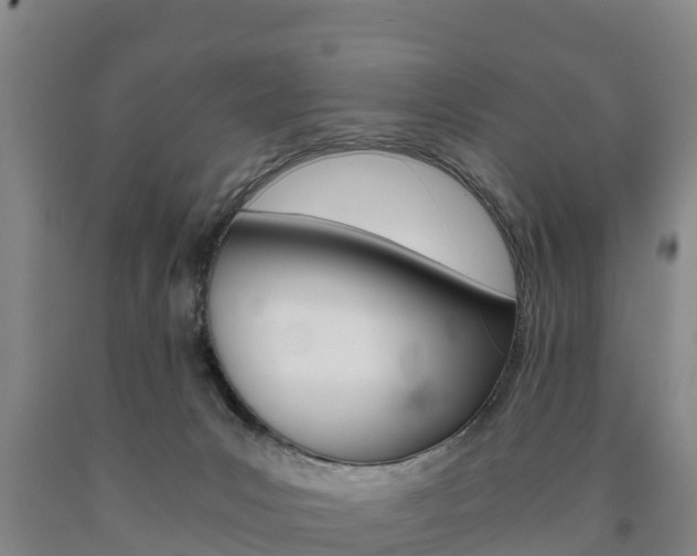 X0000090920031200707301103