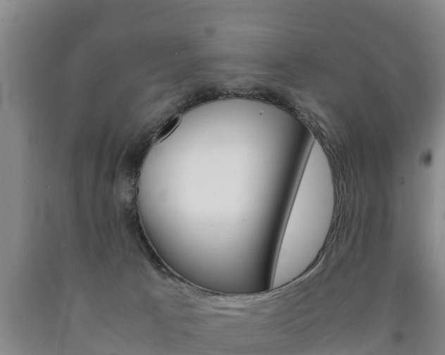 X0000090920033200707301103