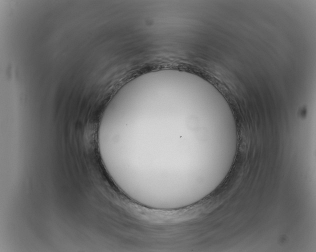 X0000090920034200707301103