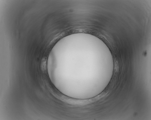 X0000090920036200707301103