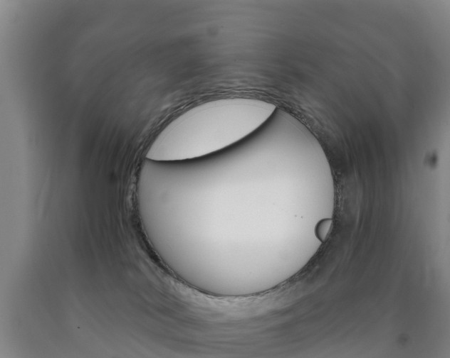 X0000090920038200707301103