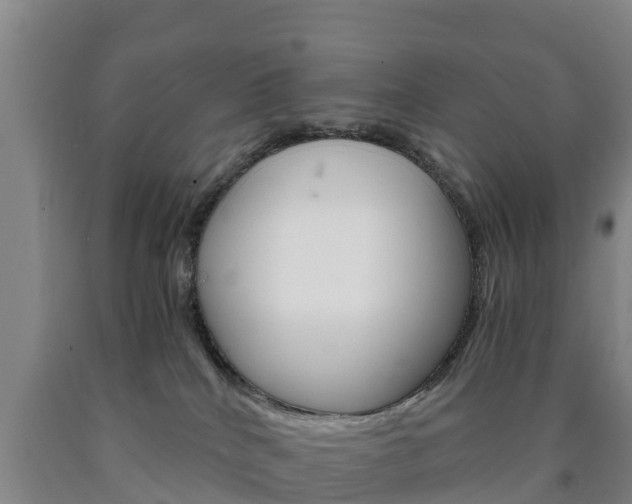 X0000090920040200707301103