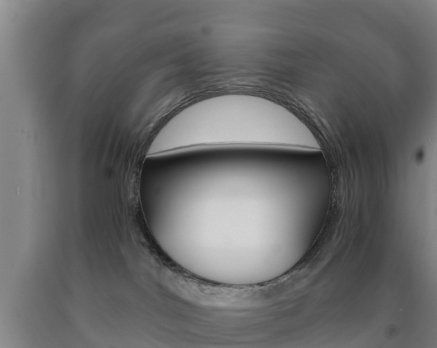 X0000090920044200707301103