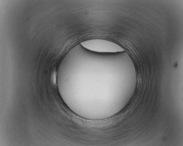X0000090920046200707301103