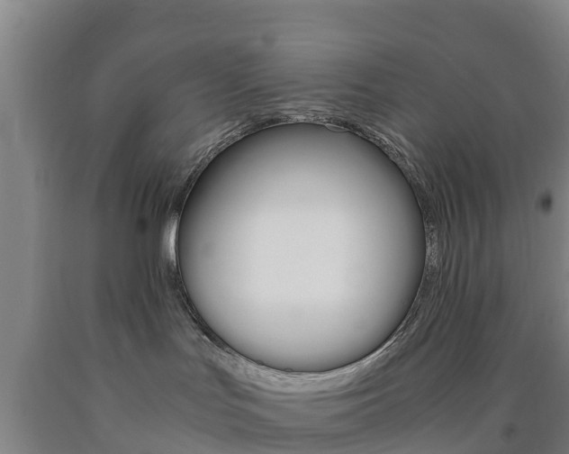 X0000090920047200707301103
