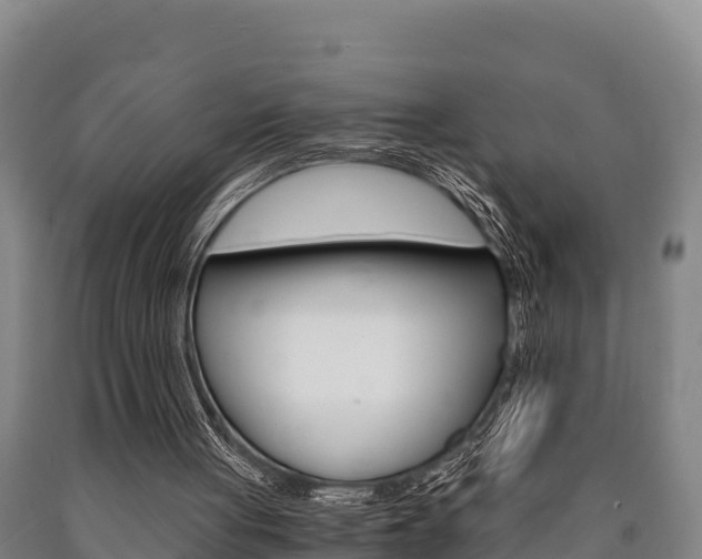 X0000090920051200707301102