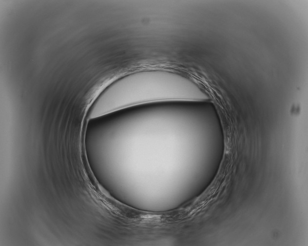 X0000090920052200707301102