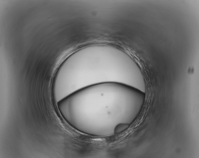 X0000090920053200707301102