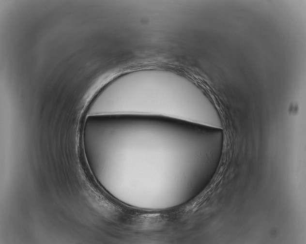 X0000090920054200707301102