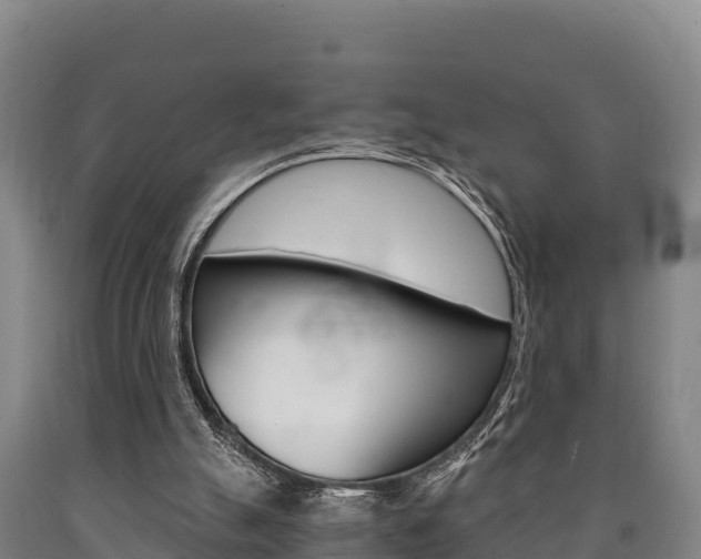 X0000090920055200707301102