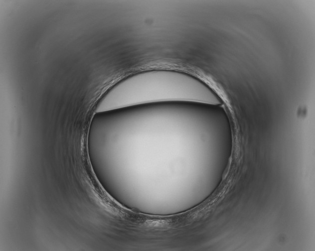 X0000090920057200707301102