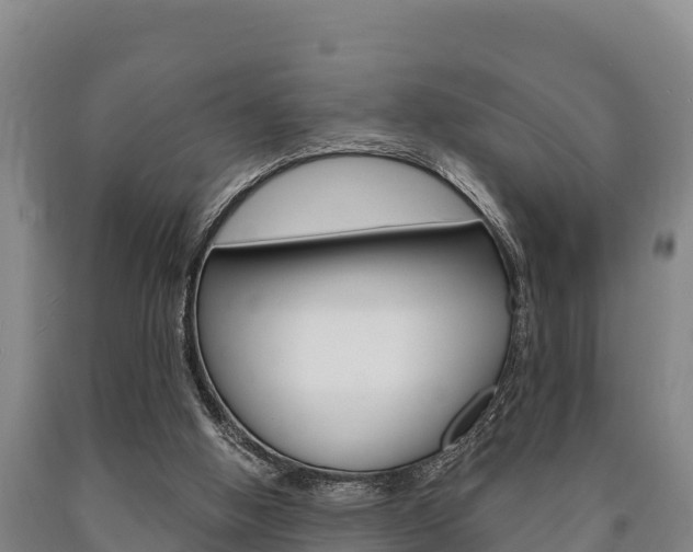 X0000090920058200707301102