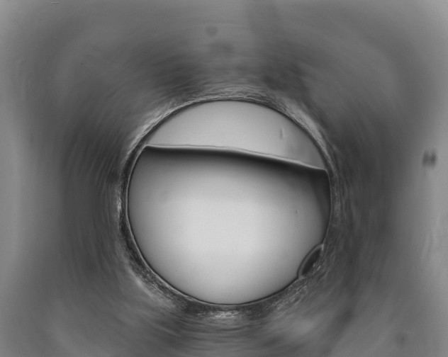 X0000090920059200707301102