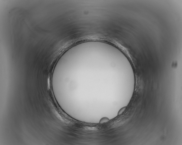 X0000090920061200707301102