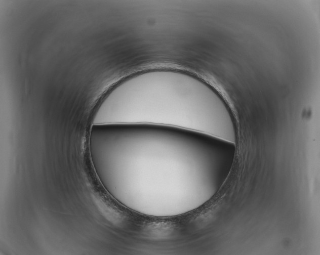 X0000090920063200707301103