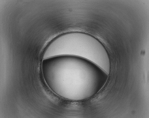 X0000090920064200707301103