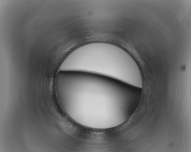 X0000090920066200707301103