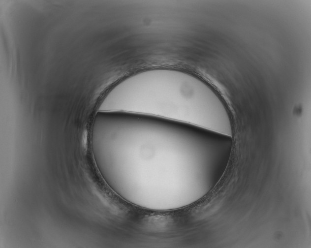 X0000090920067200707301103