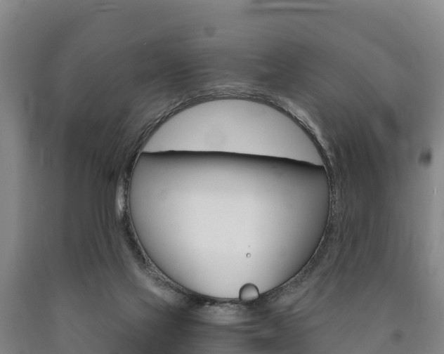 X0000090920069200707301103