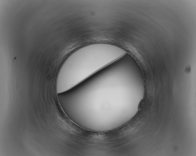 X0000090920071200707301103