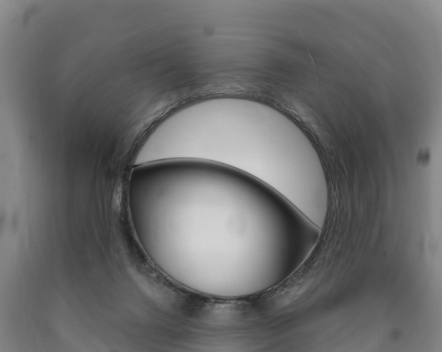 X0000090920072200707301103