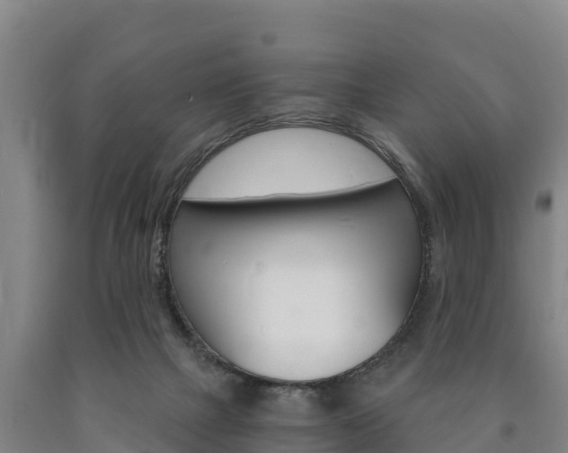 X0000090920073200707301103