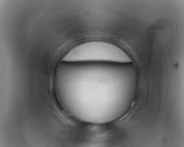 X0000090920074200707301103