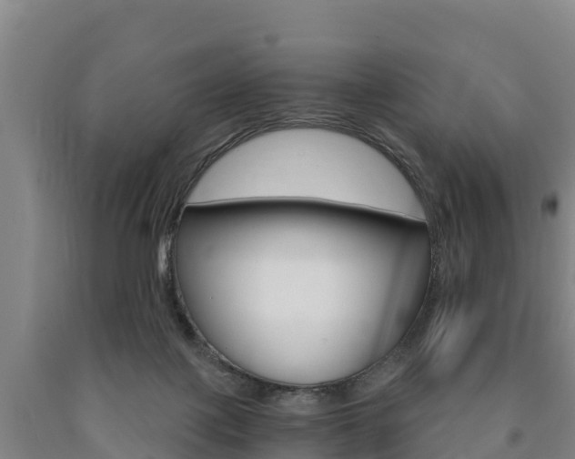 X0000090920075200707301103