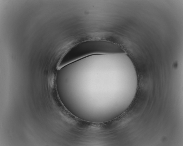 X0000090920076200707301103