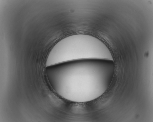 X0000090920077200707301103