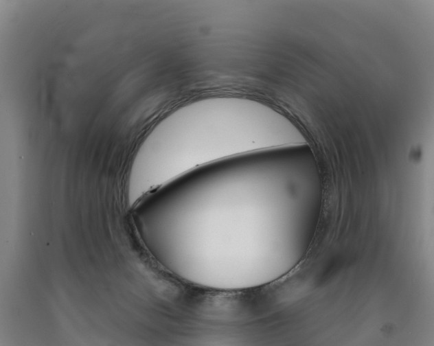 X0000090920078200707301103