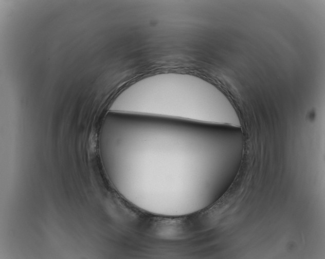 X0000090920081200707301103