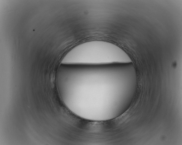 X0000090920082200707301103