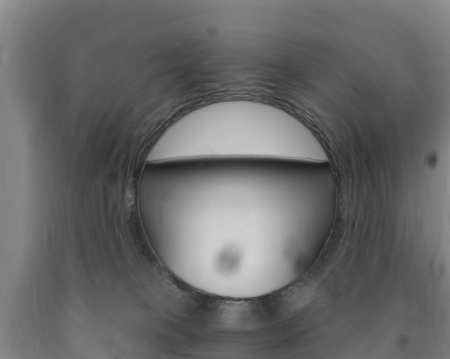 X0000090920085200707301103