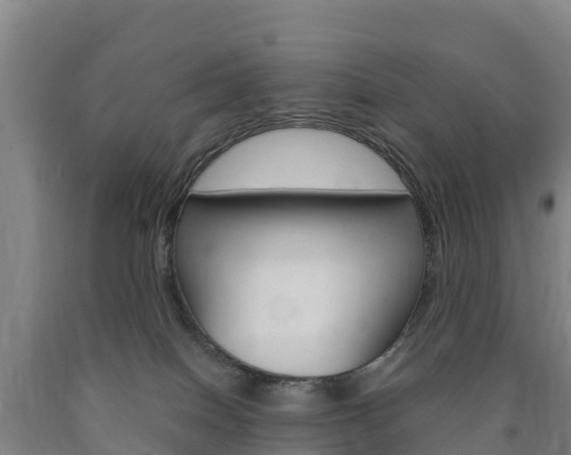 X0000090920086200707301103