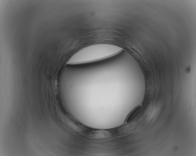 X0000090920087200707301103