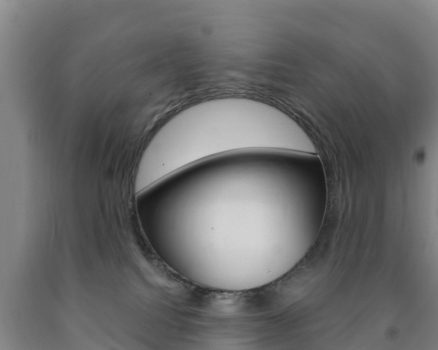X0000090920088200707301103