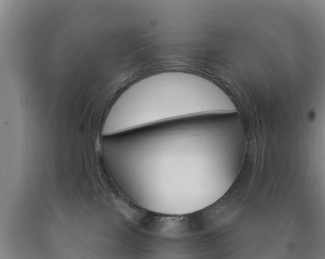 X0000090920089200707301103