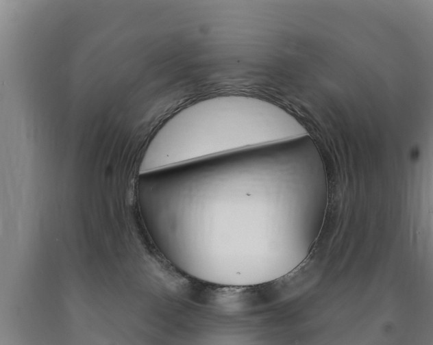 X0000090920090200707301103