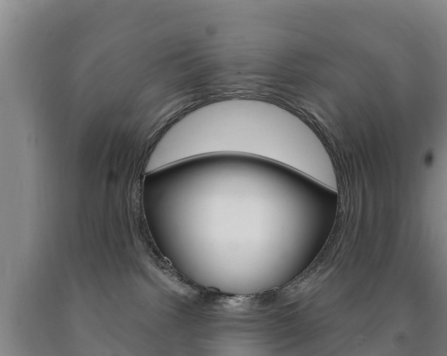 X0000090920092200707301103