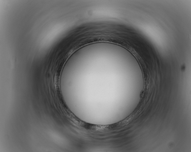 X0000090920093200707301103