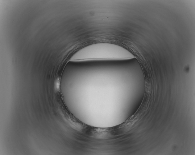 X0000090920095200707301103