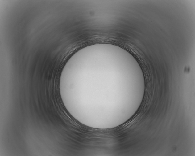 X0000090920096200707301103