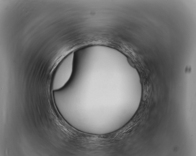X0000090920098200707301102